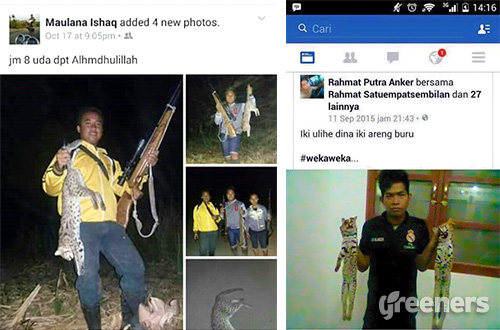 berita tentang hewan langka Stop Unggah Foto Bersama Hewan Langka Hasil Buruan 